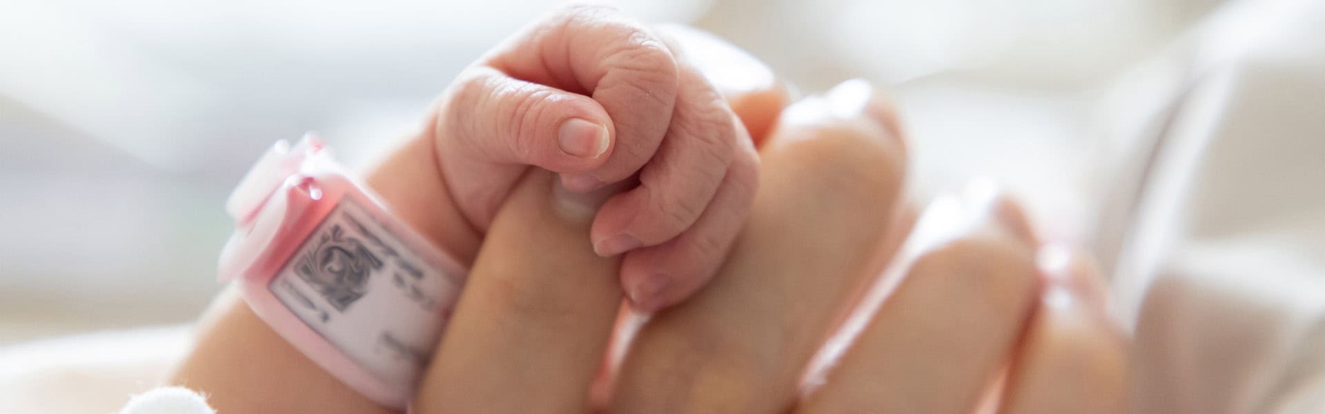 A picture of a new born baby hand hold mum index finger / shutterstock.com